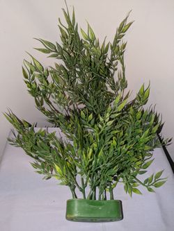 DECOR: Greenery Bamboo, set of Two
