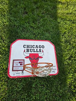 Bulls Basket ball Board