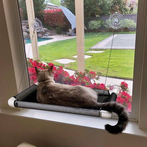 Lcybem Cat Hammocks for Window, with Seat Suction Cups, Space-Saving Cat Bed, Pet Resting Seat, Safety Perch for Large Cats, Provides a Bath