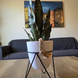 Cute 2ft Faux Plant In Pot