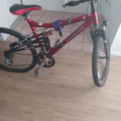 Mongoose 21 Speed Bicycle 