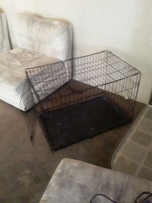 Large Dog Kennel