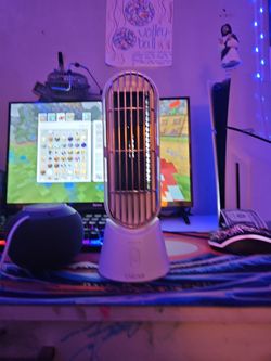 Fan