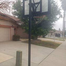 Basketball Ball Hoop Lifetime 