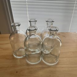 Glass Vases 