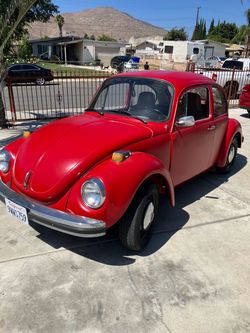 Beetle