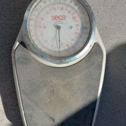 Seca Made In Germany Scale