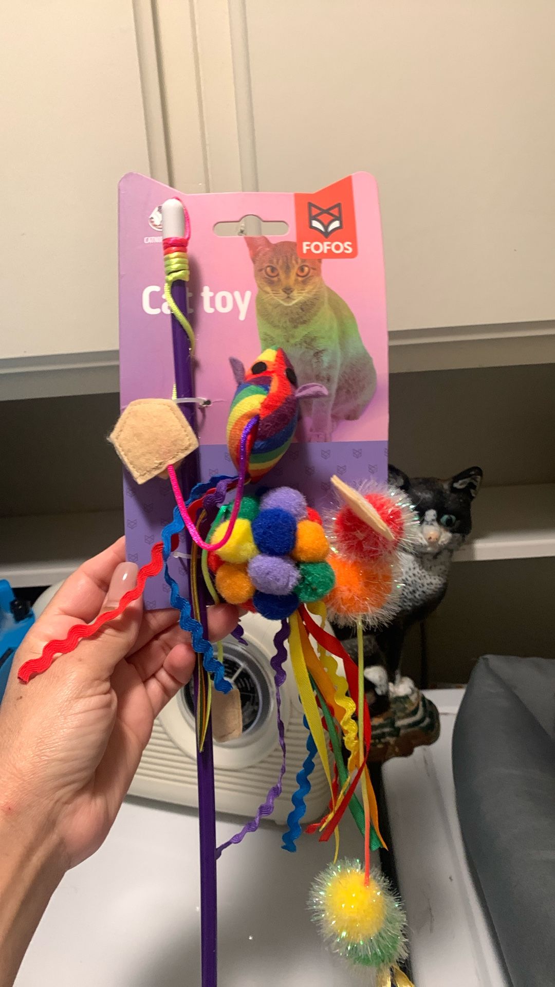 6 Cat Toys