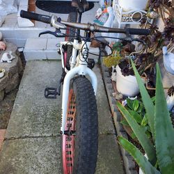 Wolftrax Alloy Compact Fat Bike With fat Wheels