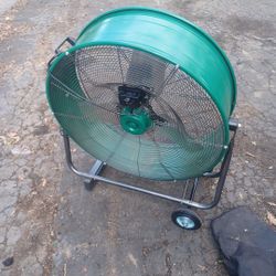 Fan