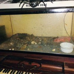 Aquarium For Sale 