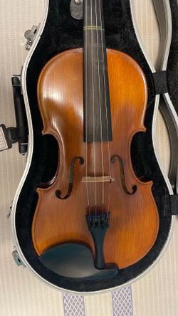 Viola