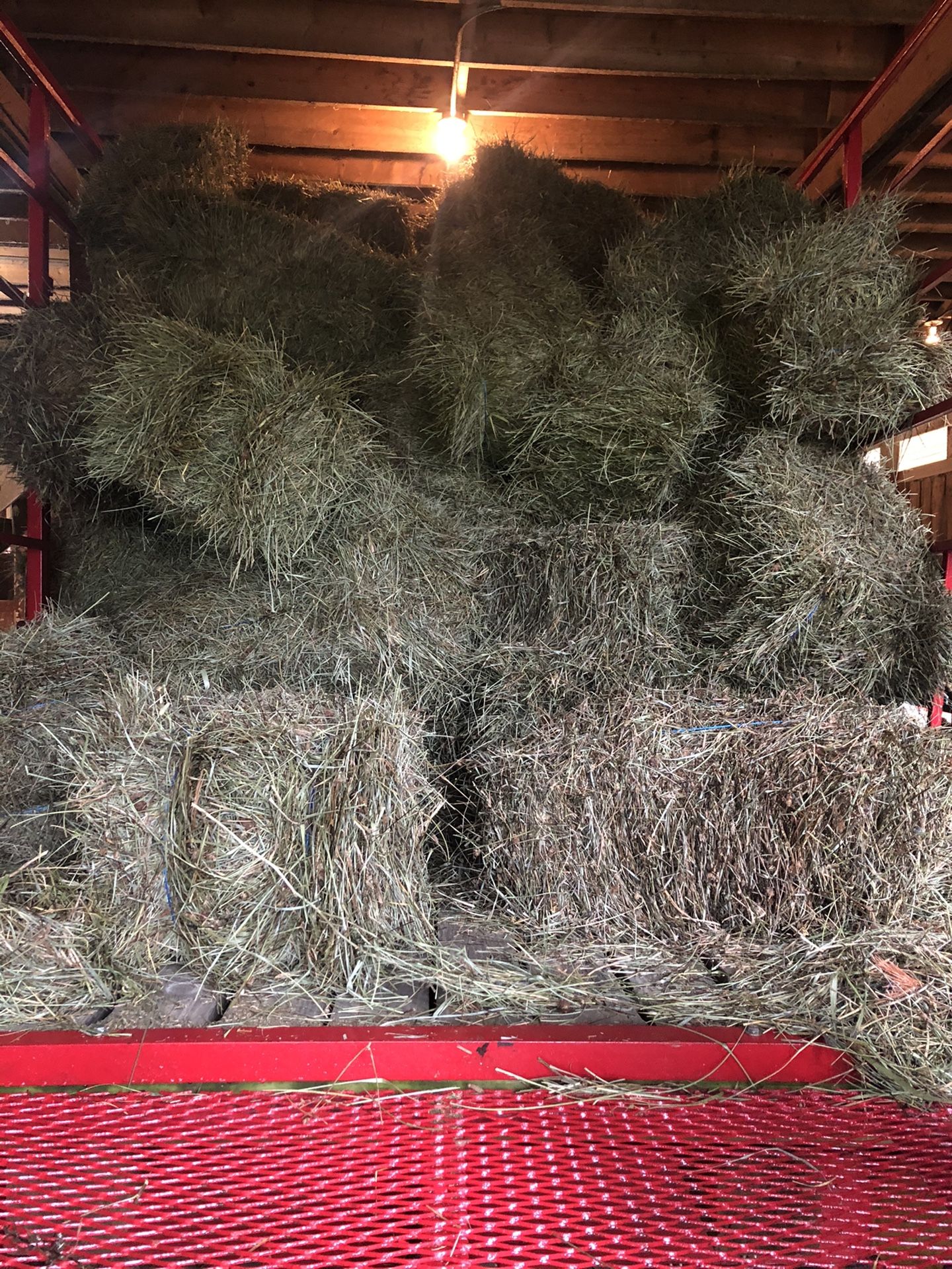 Second cut hay