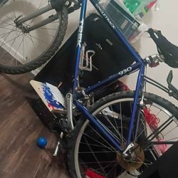 Trek Singletrack Women's Bike