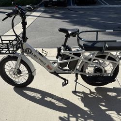 Lectric Xpedition 2.0 Dual Battery E-Bike