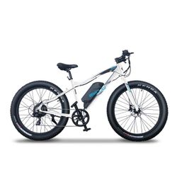 ELECTRIC MOUNTAIN BIKE "WILDCAT" EMOJO