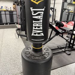 Everlast picking/kicking bag