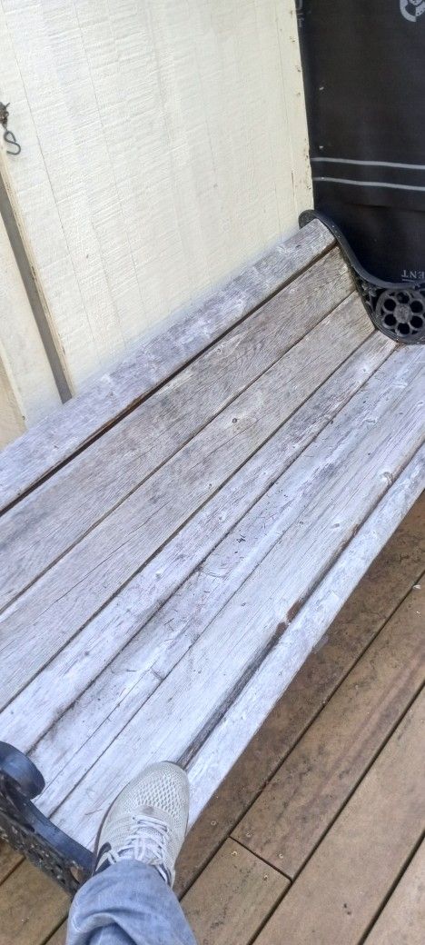 Vintage 19th-century cast iron bench with a grape and vine pattern,