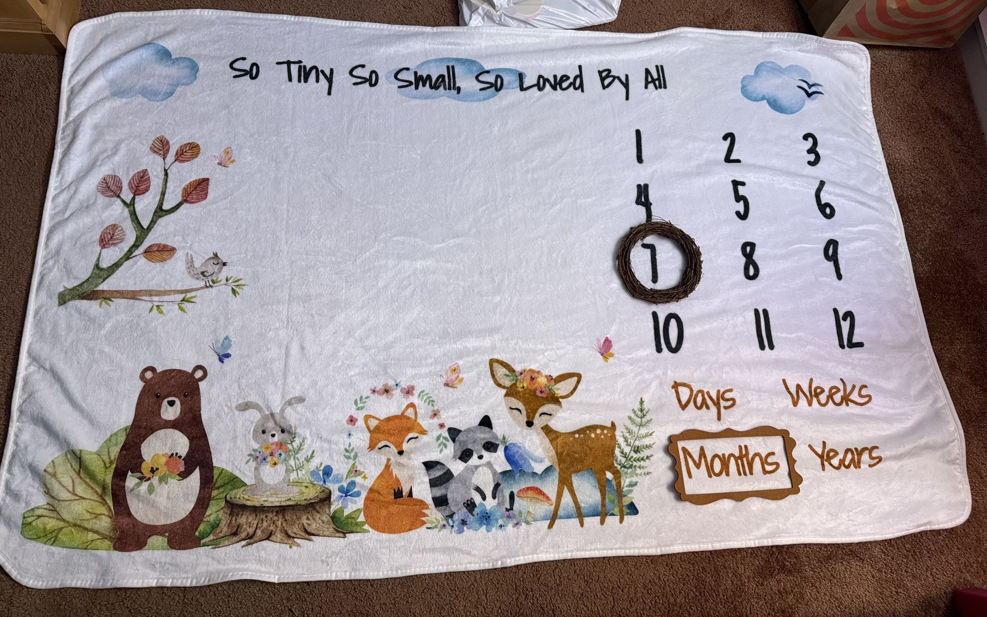 Woodland monthly milestone blanket