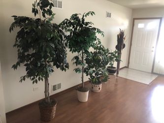 Various Artificial Indoor Plants -