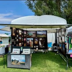Professional Art Show Tent For Sale - Cave Creek