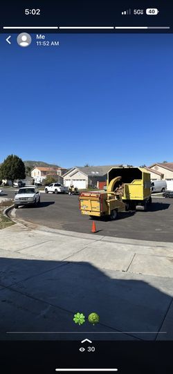Tree Work