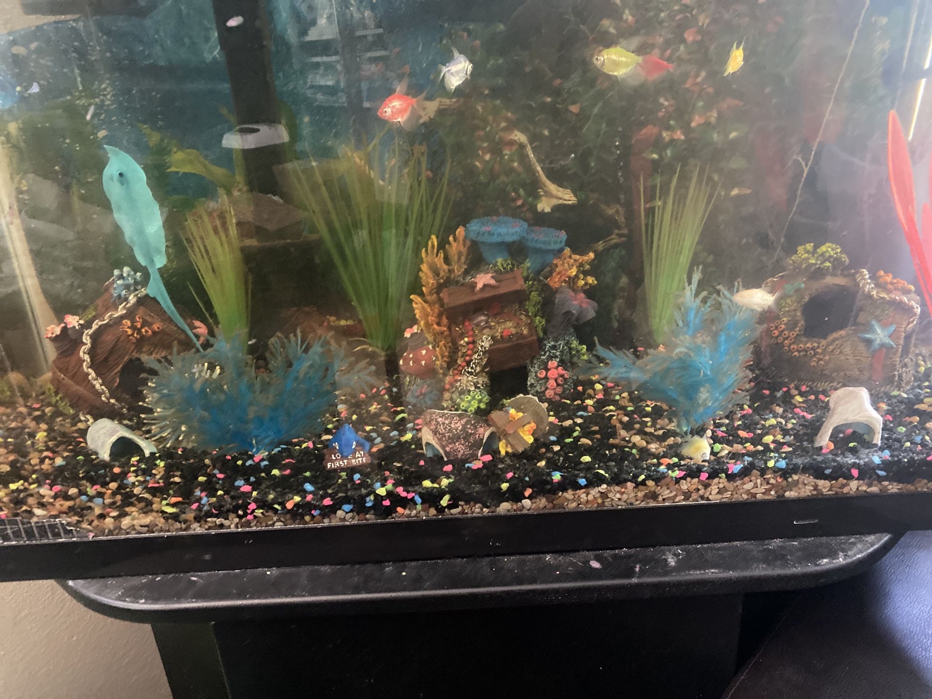 Fish tank for sale