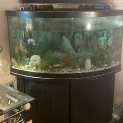 100 gallon corner fish tank with accessories  and stand