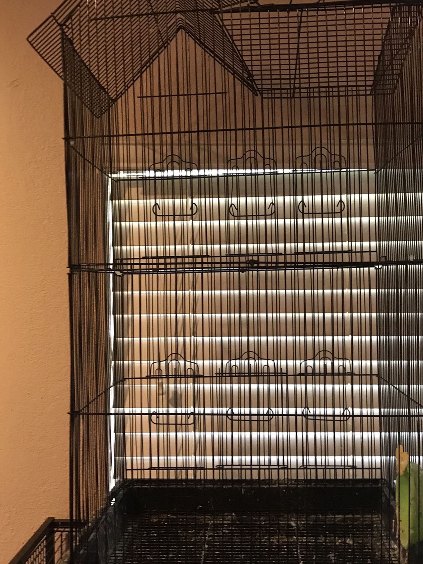Bird Cage
