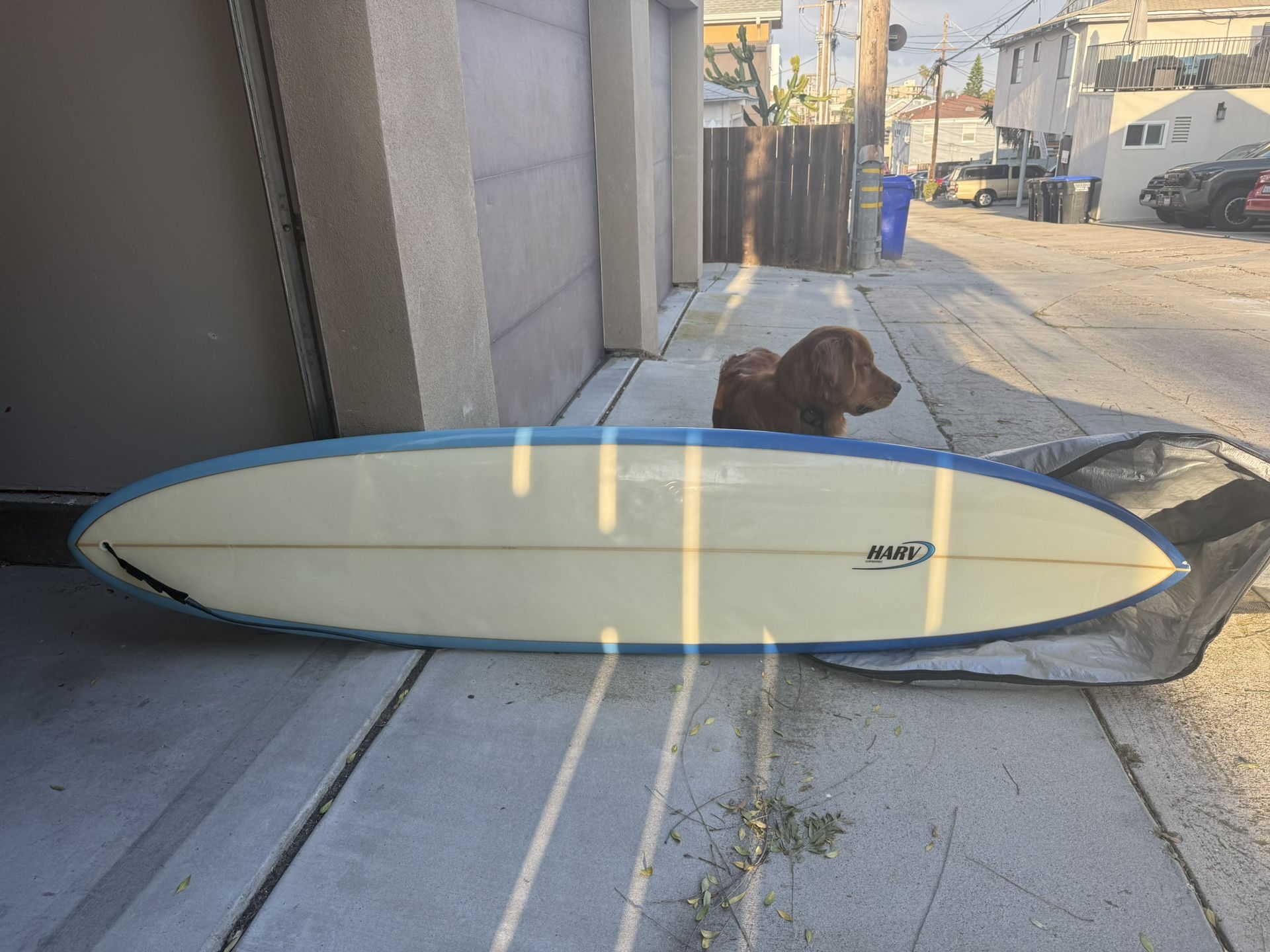 Harv Surfboard