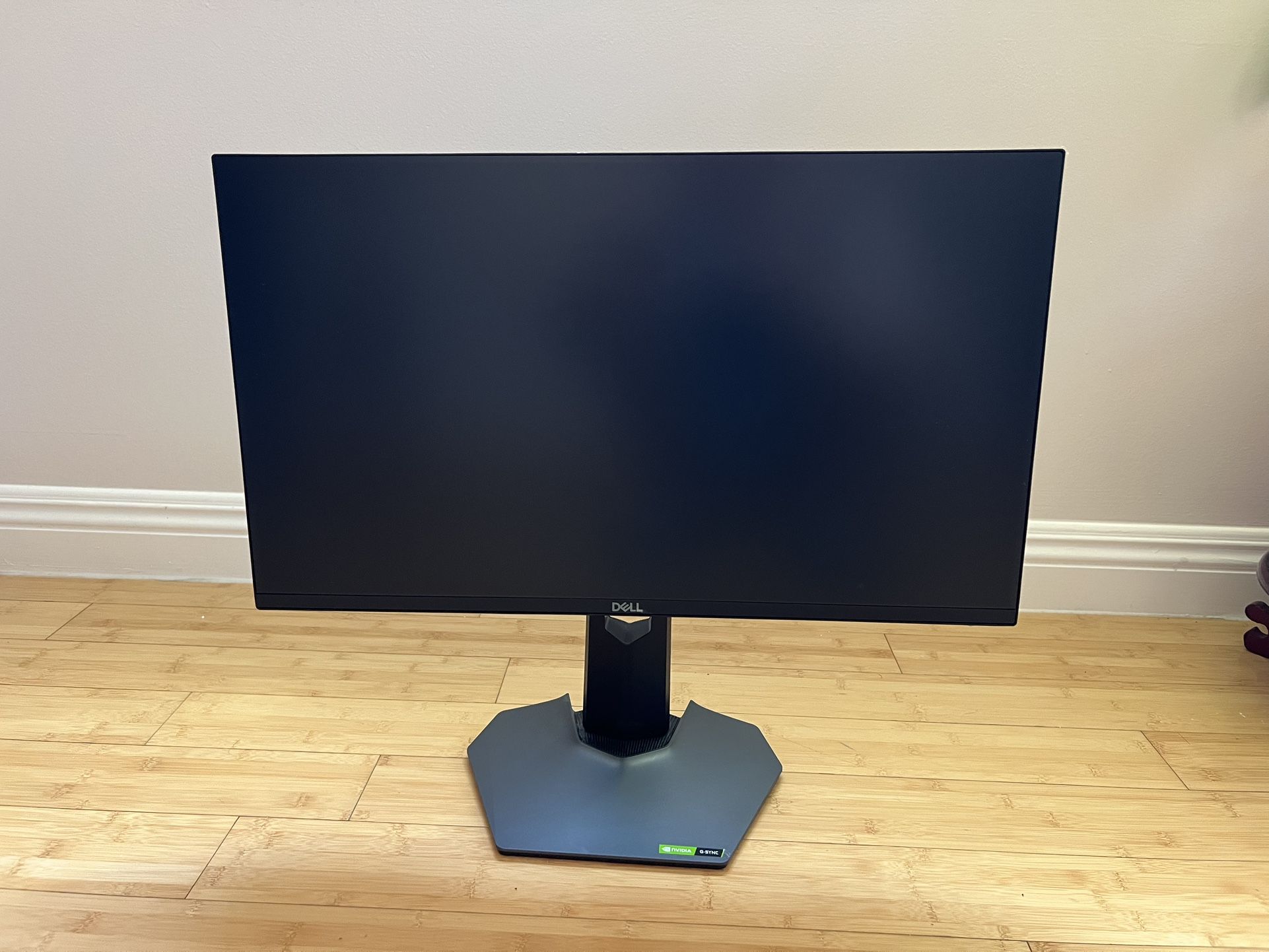 24” Dell S2522HG 240Hz Gaming Monitor 