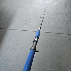 Seeker Blue Lightning 20-30 Lb Fishing Rod