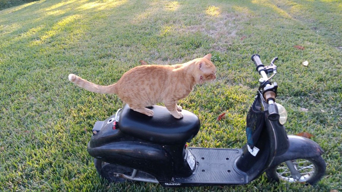 Razor Scooter For Kids With Helmet 15mph New Batteries