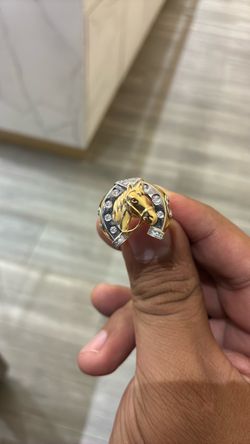 Horseshoe ring