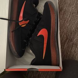 Nike Book 2 Brand New Size 11 