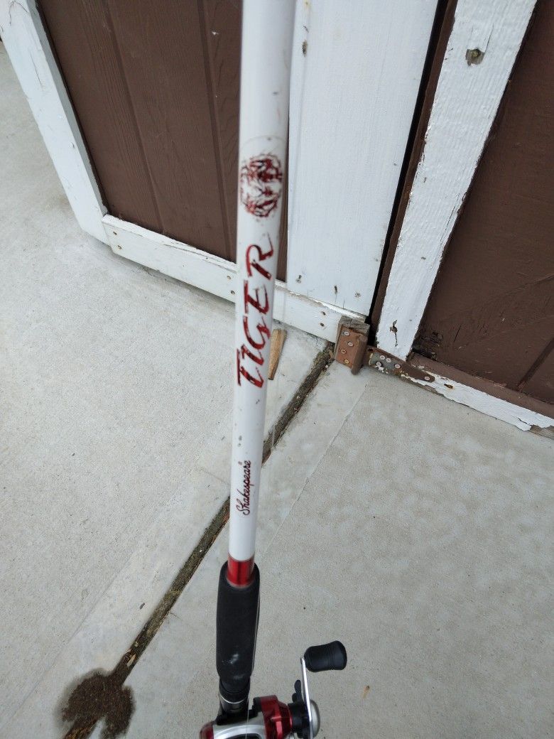 2 Fishing Poles,one fresh Water And One Salt Water