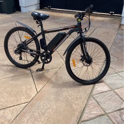 mountain e-bike 