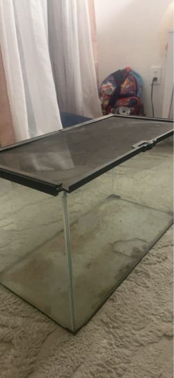 Tortoise cage (with SULCATA tortoise )