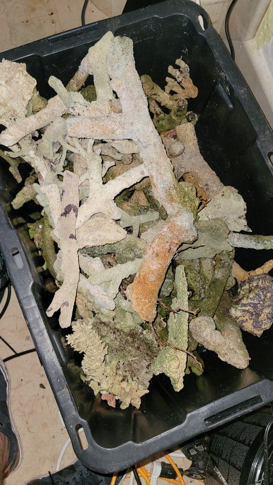 Tonga Branch Rock $7 A Pound Must Go Over 100 Pounds