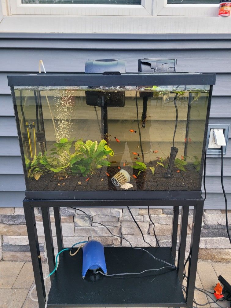 20 Gallon Fish Tank And Stand (Complete)