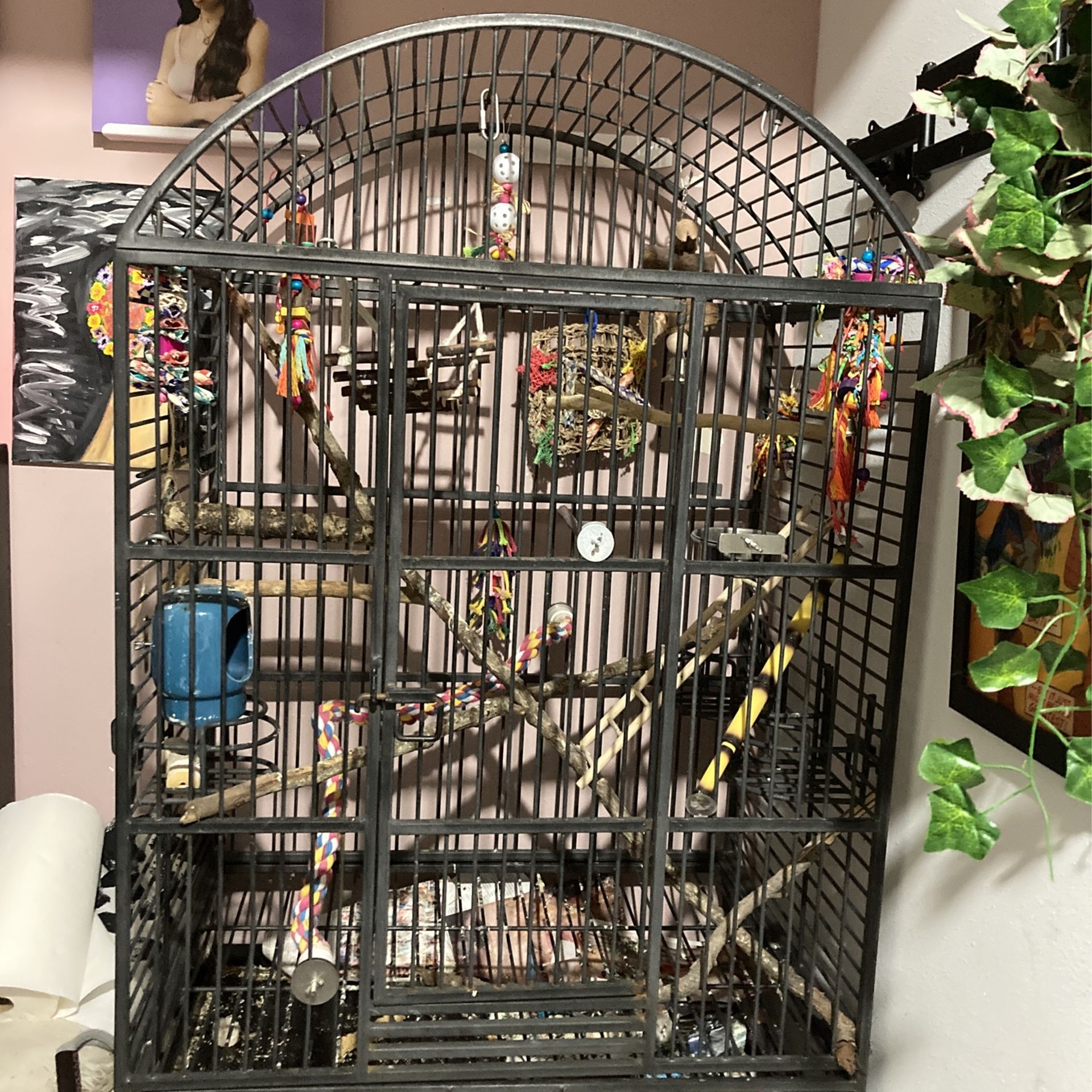 XL Bird Cage  65$