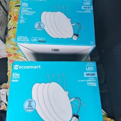 Ecosmart 65 W. Standard Retrofit Downlight