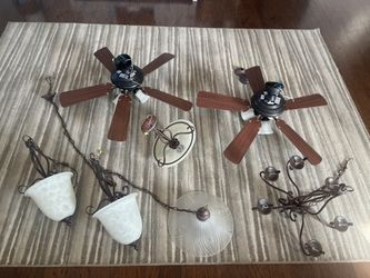 Light Fixture, and Chandelier Fan