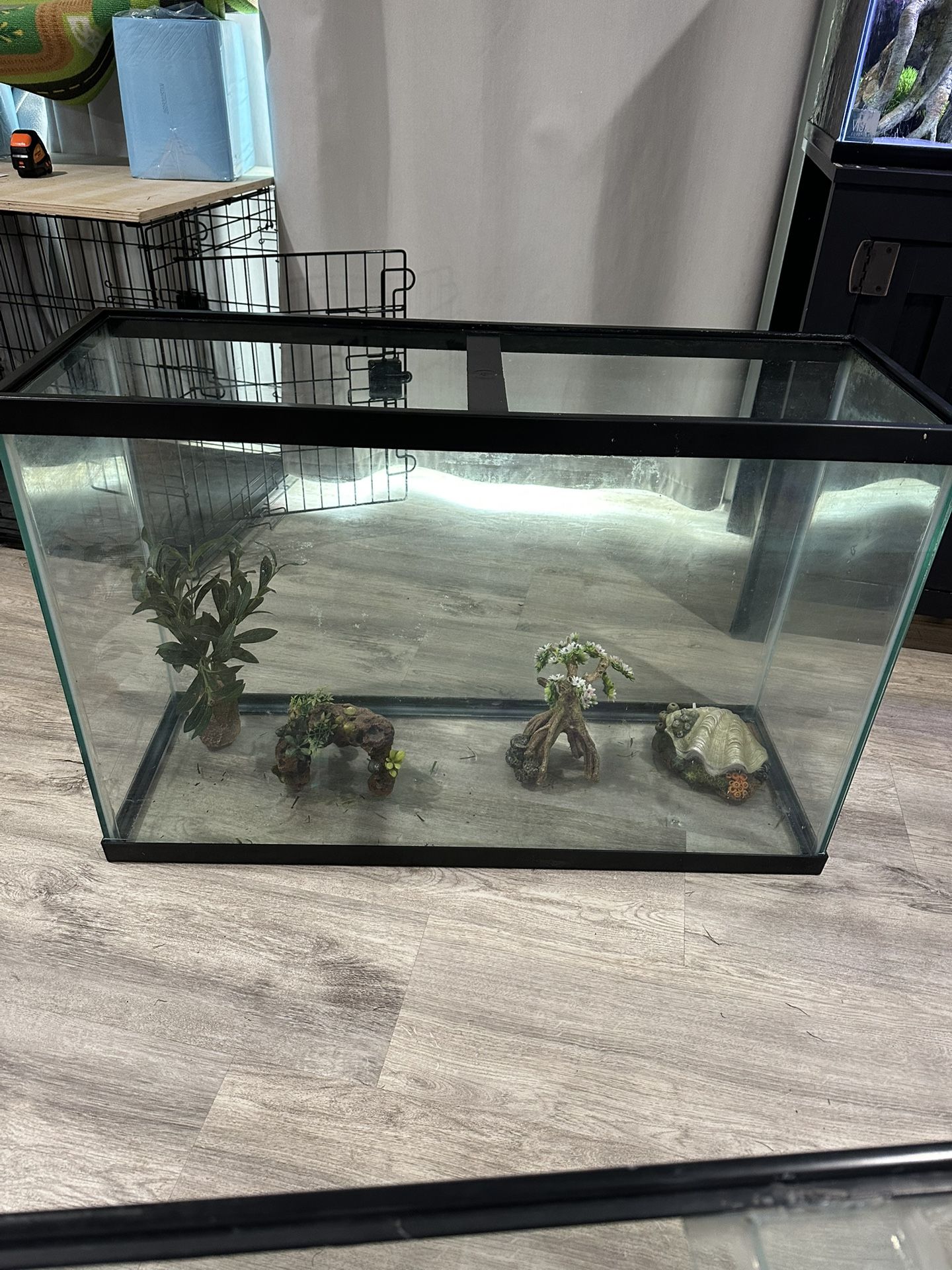 Fish Tank 