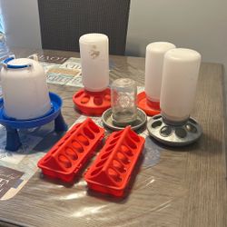 Chick Feeders And Waterers