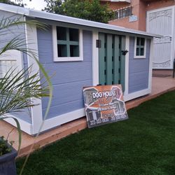 Dog House 