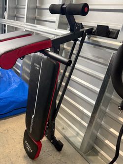 FLYBIRD Roman Chair / Back Extension Bench