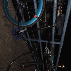 Fixed Gear 