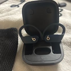 Beats by Dr. Dre Powerbeats Pro Totally Wireless 