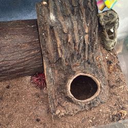 Enclosure Necessities